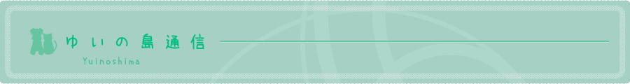 䂢̓ʐM